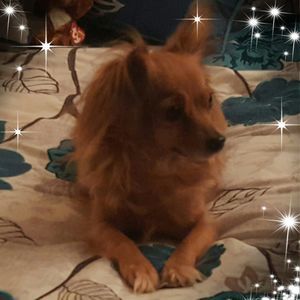 Meet your Posher, Patti